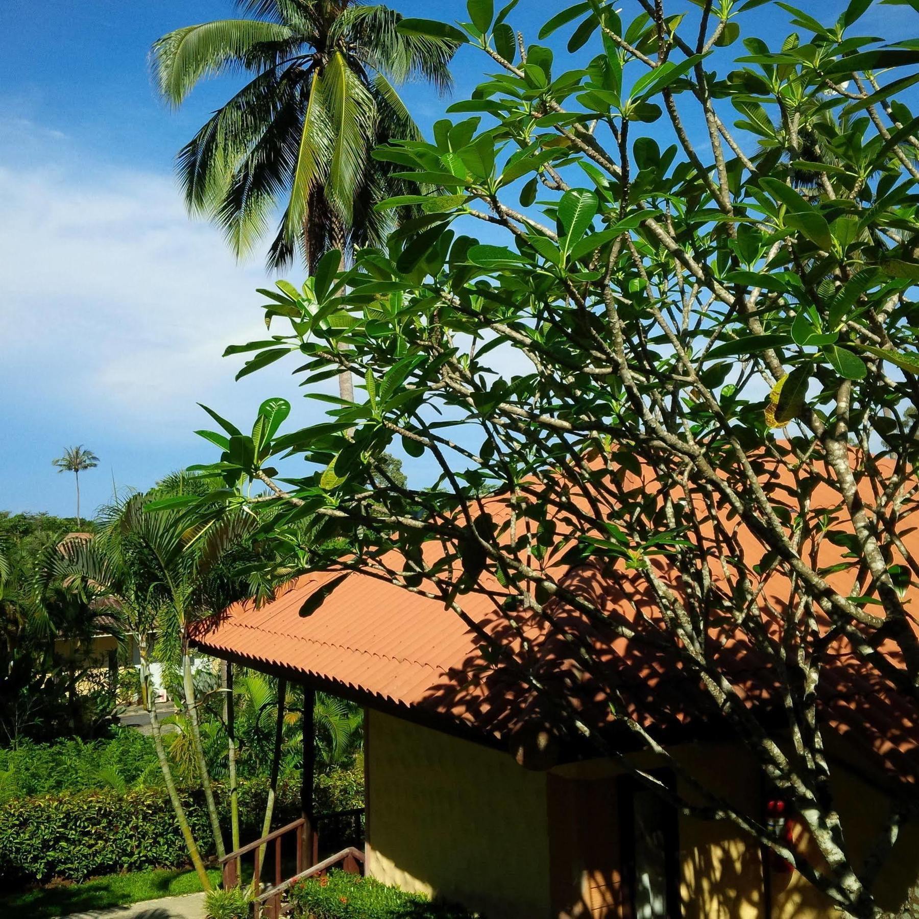 Paradise Bungalows Koh Chang Exterior photo